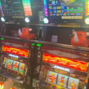 ハイエナする多重債務者 ギャンブル、借金