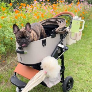 VIP対応｜フレンチブルドック｜ペット｜犬