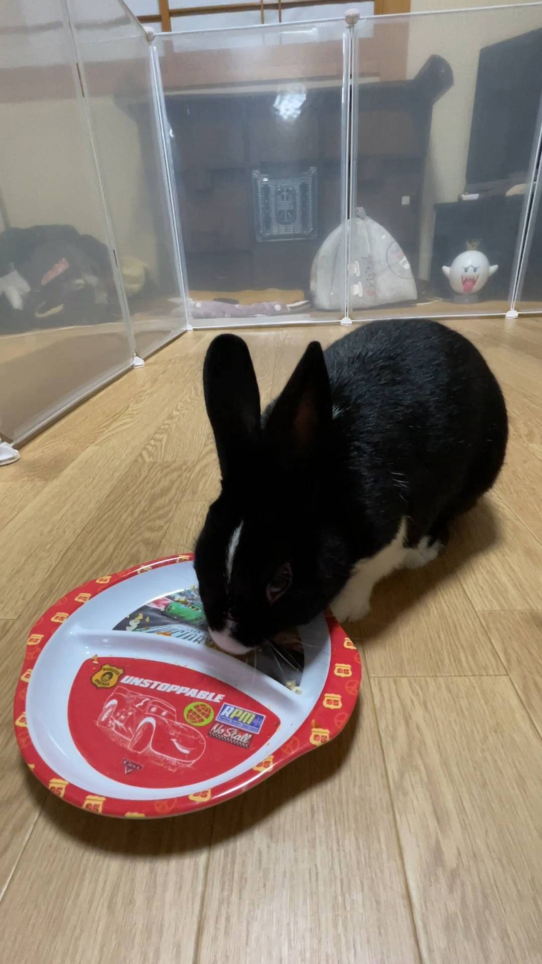 ウサギ｜｜ペットおやつ（パリパリサラダ）を食べているところ