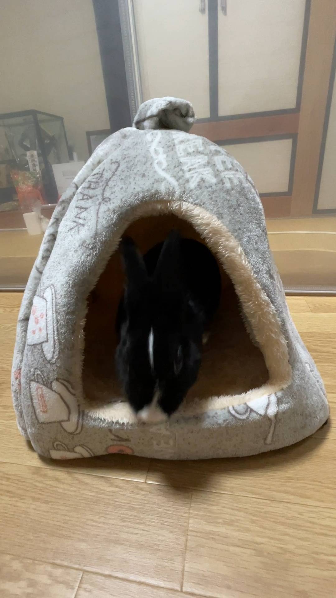 ウサギ｜ペットハウスに入っていくところ｜ペット